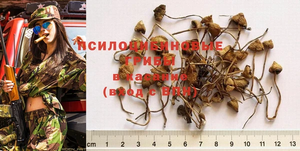крисы Армянск