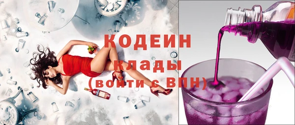 крисы Армянск